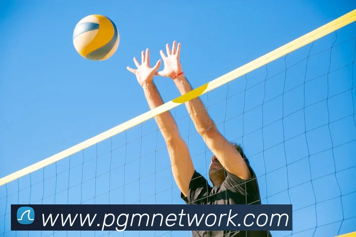 pg电子平台生态图